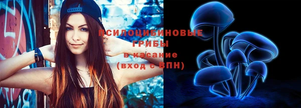 дмт Новодвинск