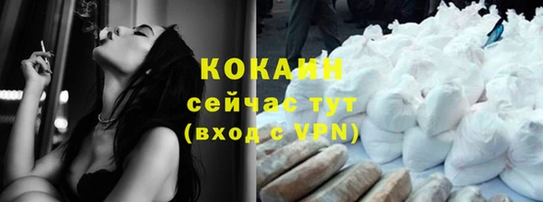 дмт Новодвинск