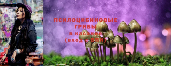 гидропоника Новокубанск