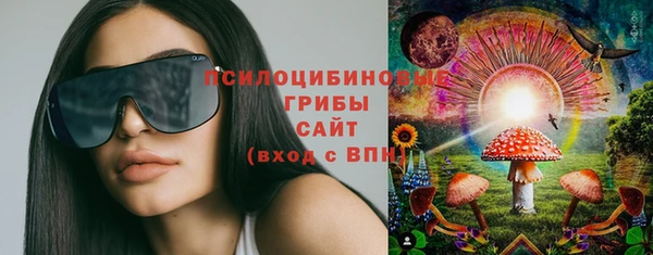 дмт Новодвинск
